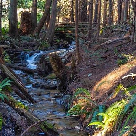 Forest Haven Hideaway Roberts Creek Luaran gambar