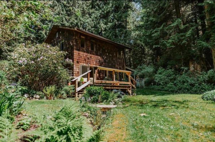 Forest Haven Hideaway Roberts Creek Luaran gambar