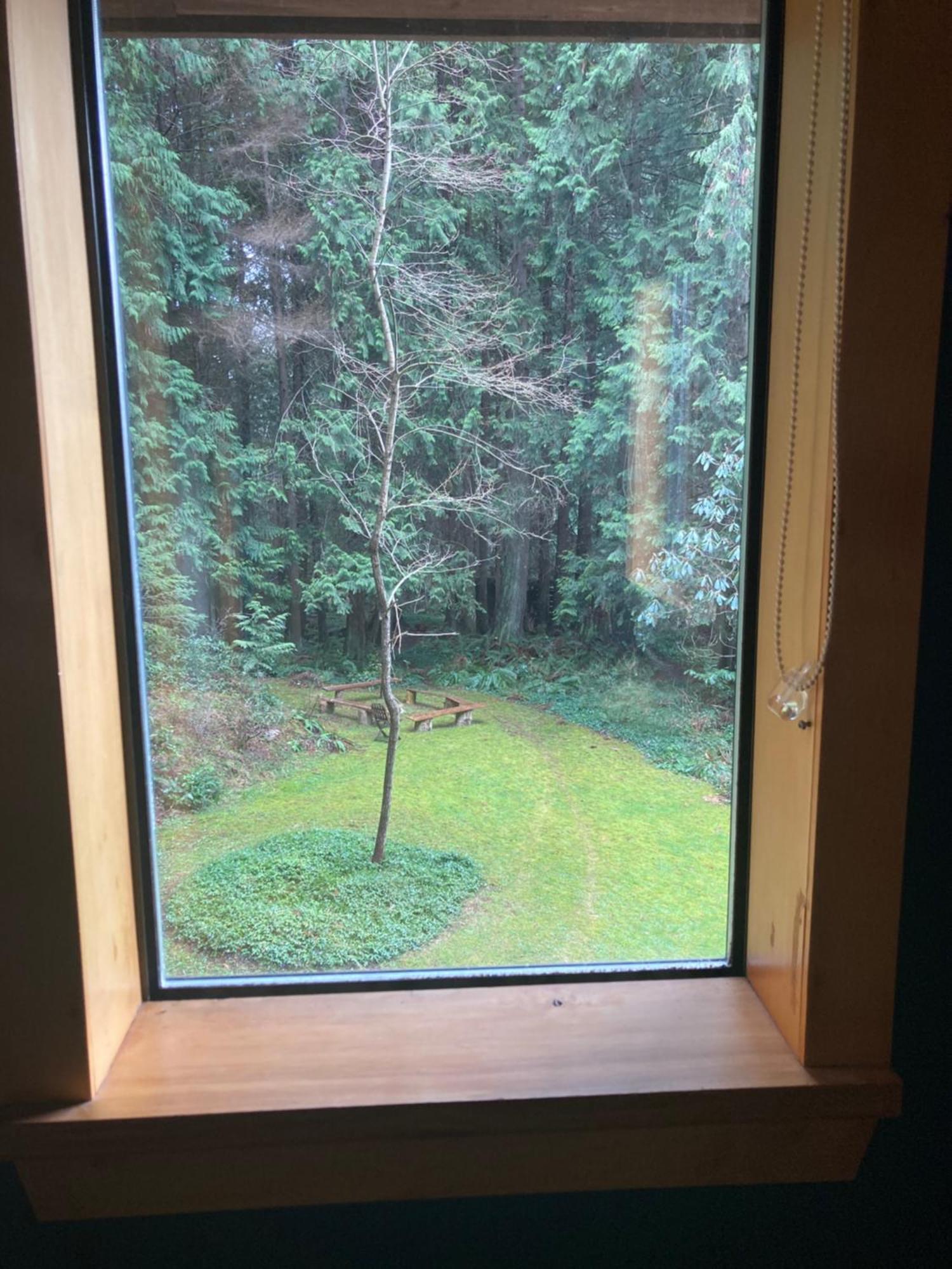 Forest Haven Hideaway Roberts Creek Luaran gambar